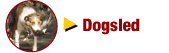 Summer Dog Sled Camp