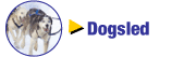 Whistler Dog Sledding Tours