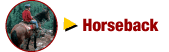 Horseback Rides