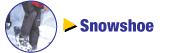 Whistler Snow Shoeing Tours